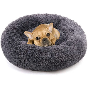 Multiple Sizes Cat And Dog Bed